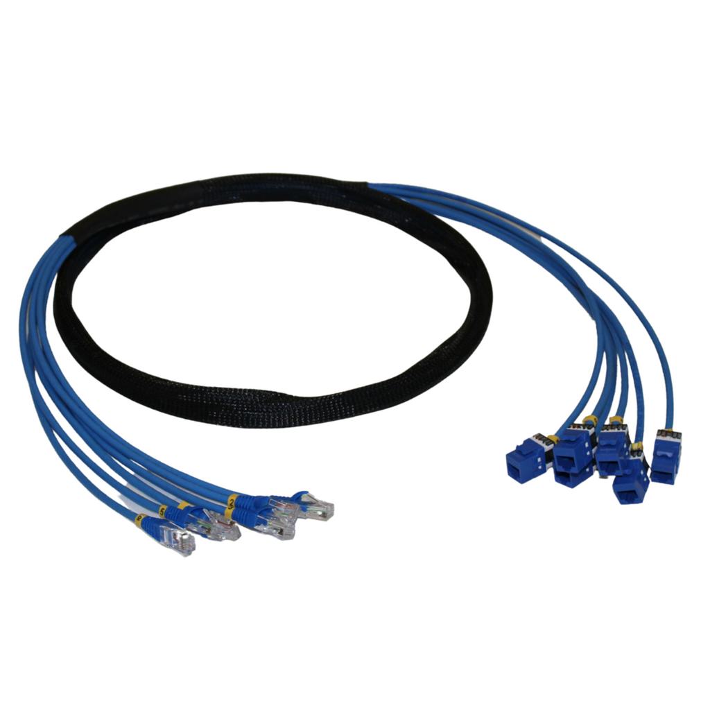 24 Port Category 6 UTP Trunking Cables